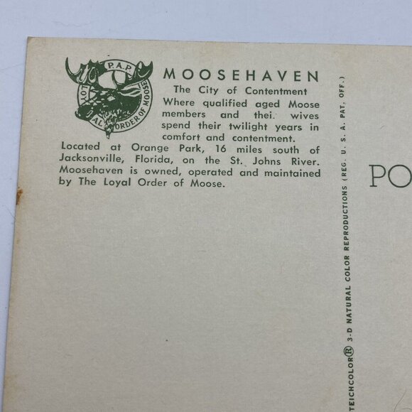 Vtg Postcard Moosehaven Lot Of 2 Orange Park Jacksonville FL Loyal Order Moose - Picture 6 of 14